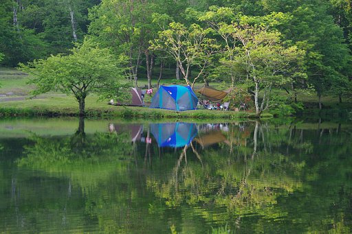 静かな朝