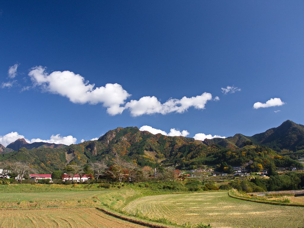 山