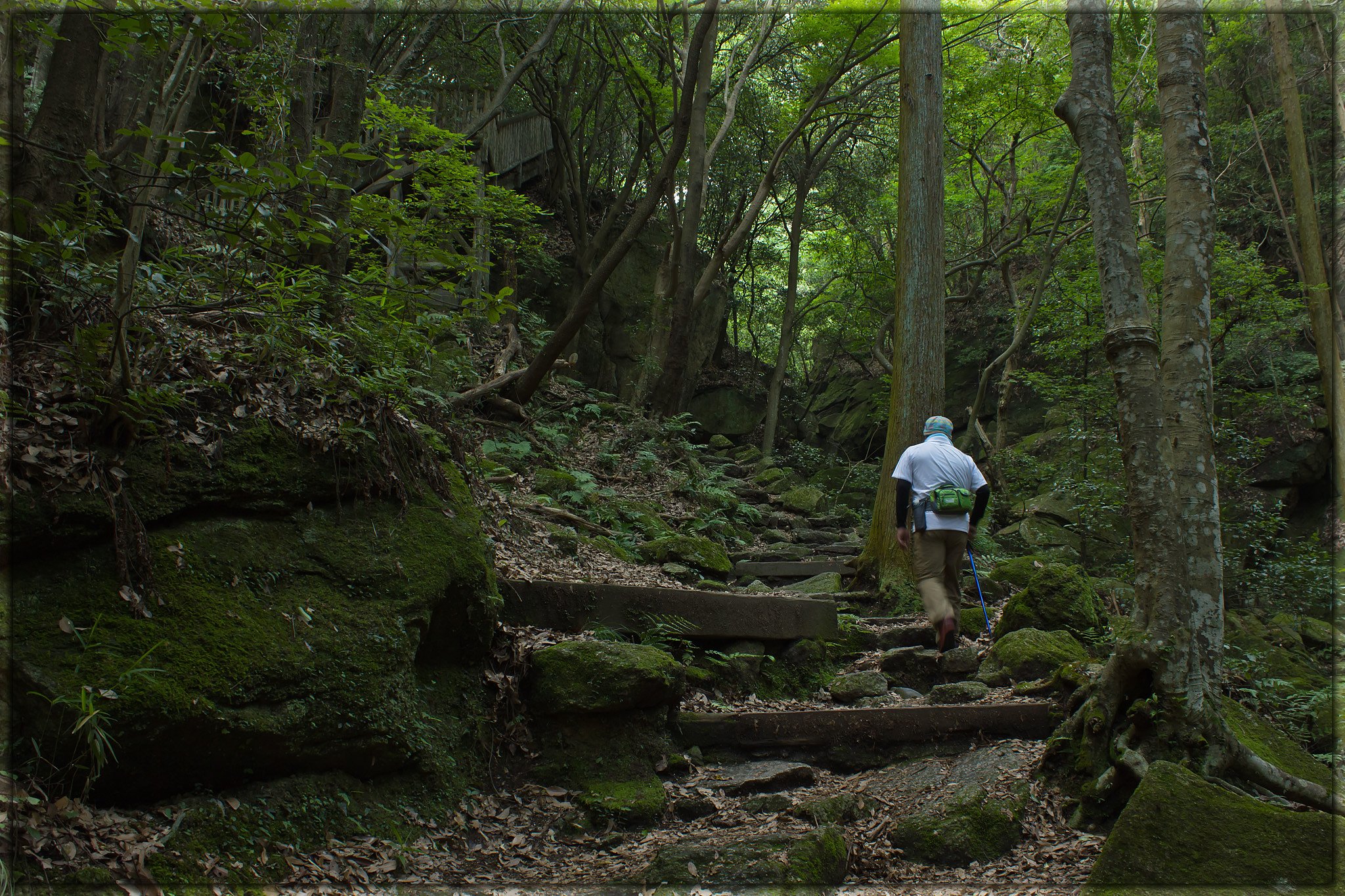【フリー】山の中、小さなせせらぎ