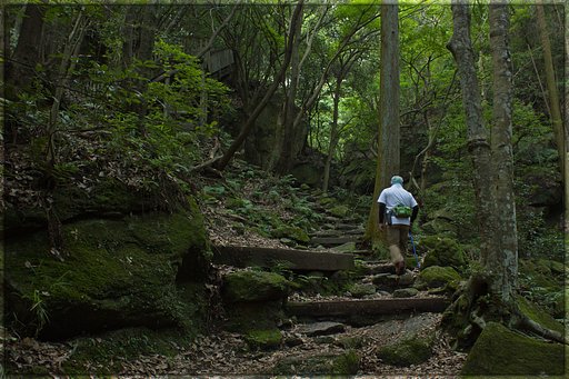 【フリー】山の中、小さなせせらぎ