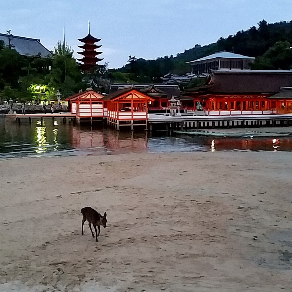 厳島神社❤ライトアップ