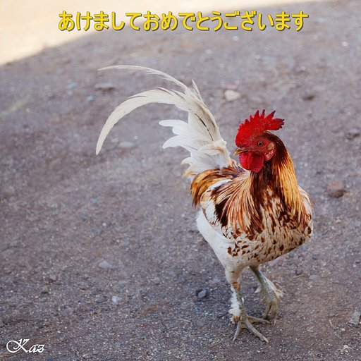 謹賀新年