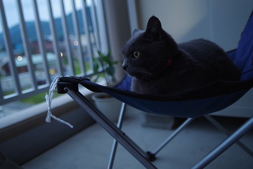 6月29日の写真