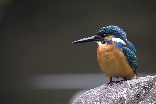☆イケメン君☆