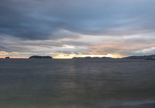 試写