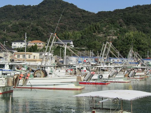 港町には多くの漁船が目につきます