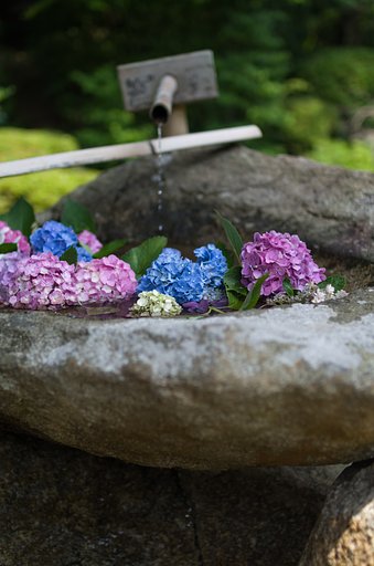 SIGMA 30mm F1.4 DC HSM