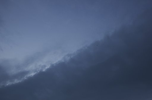 空高く鳶が飛んでいた