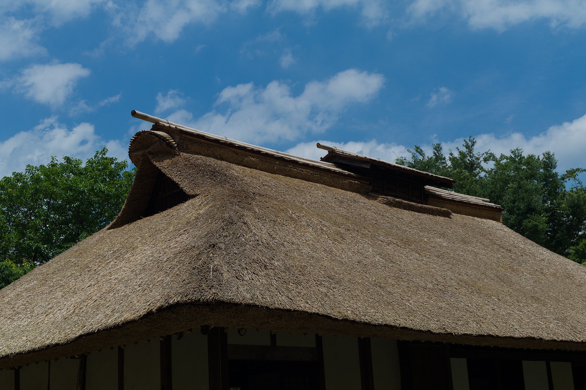 SUMMILUX-M 50mm F1.4 ASPH