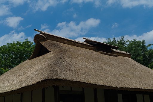 SUMMILUX-M 50mm F1.4 ASPH