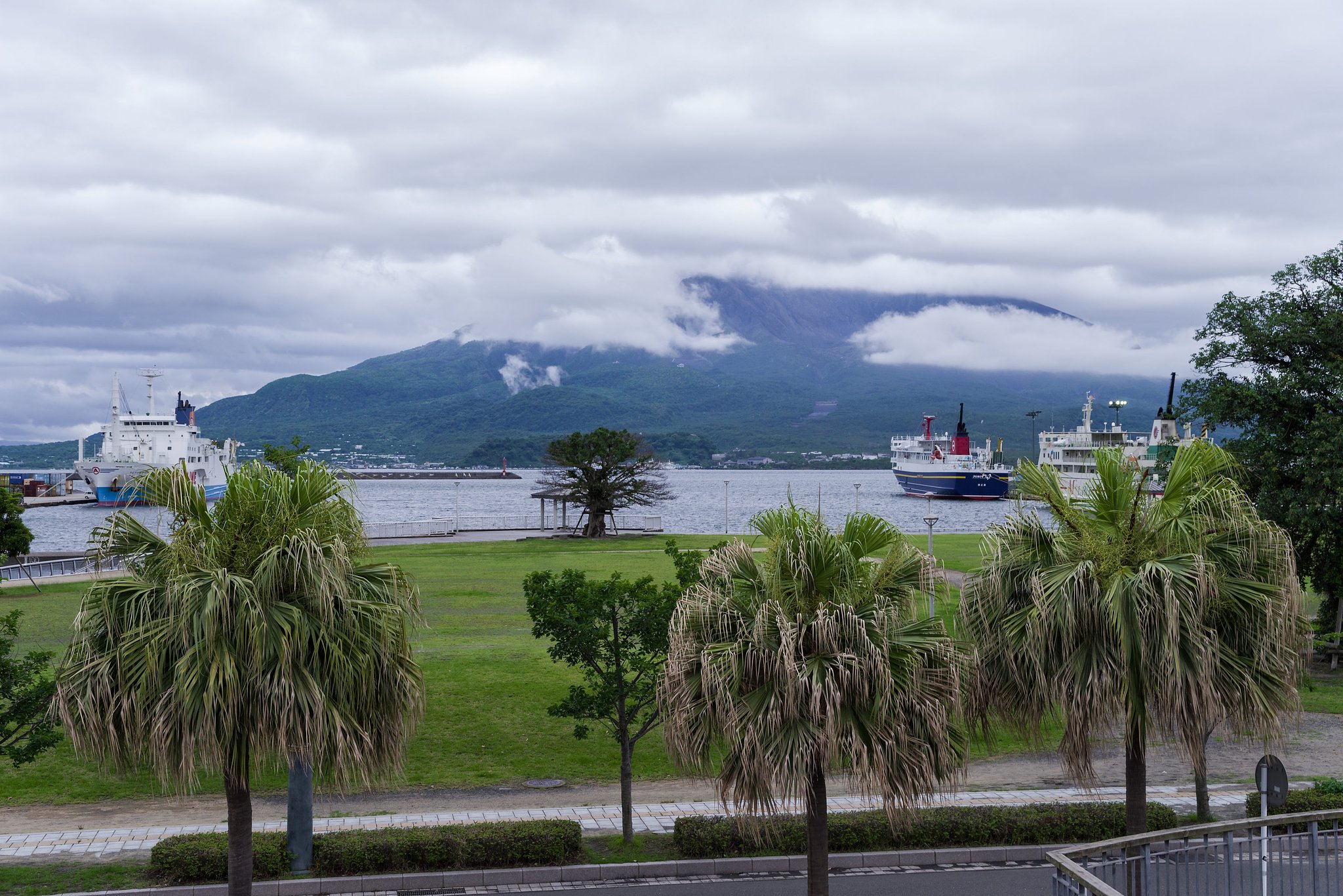 桜島は雲の中