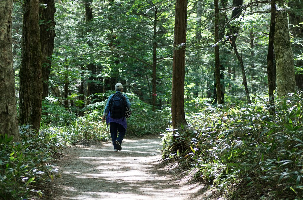 明神への路