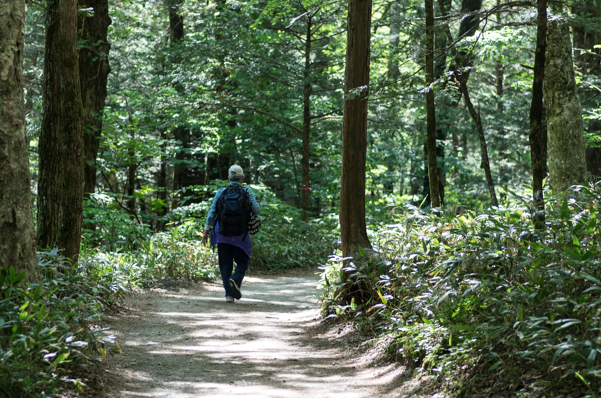 明神への路