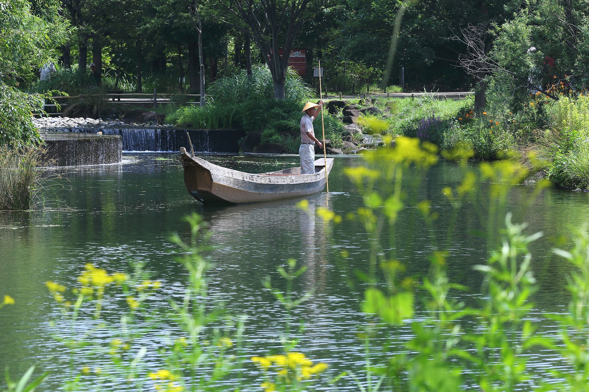 水景を