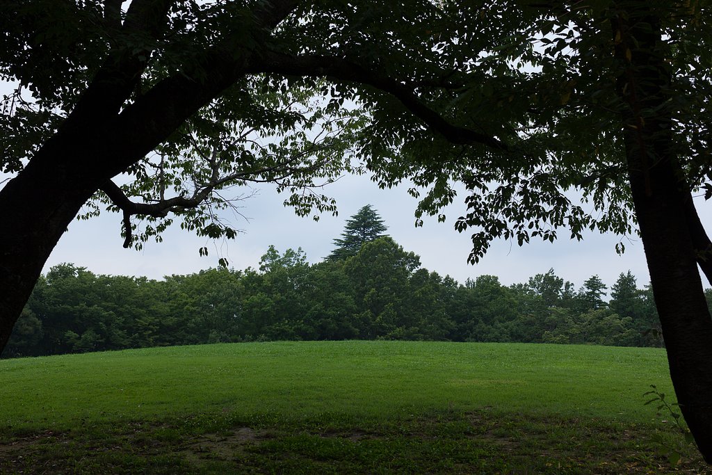 EF50mm F1.2 L