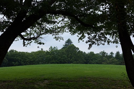 EF50mm F1.2 L
