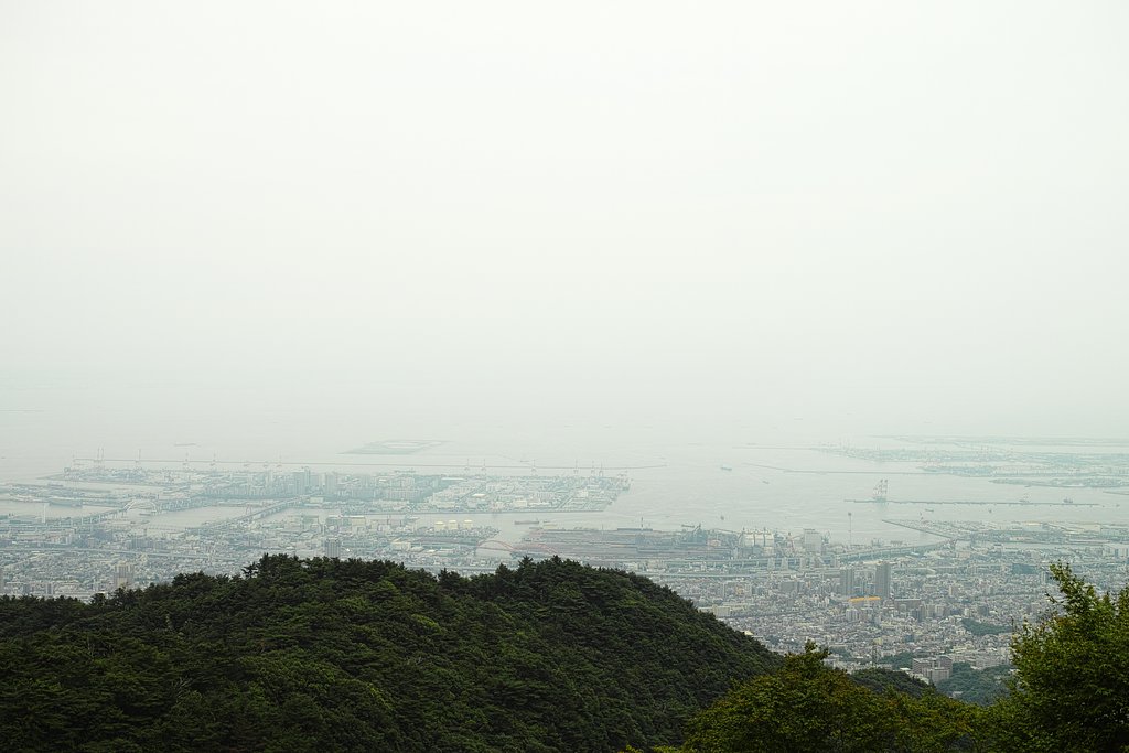 六甲山（六月）＃２
