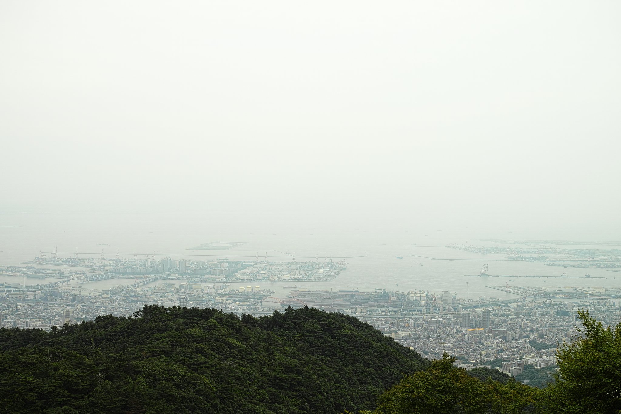 六甲山（六月）＃２