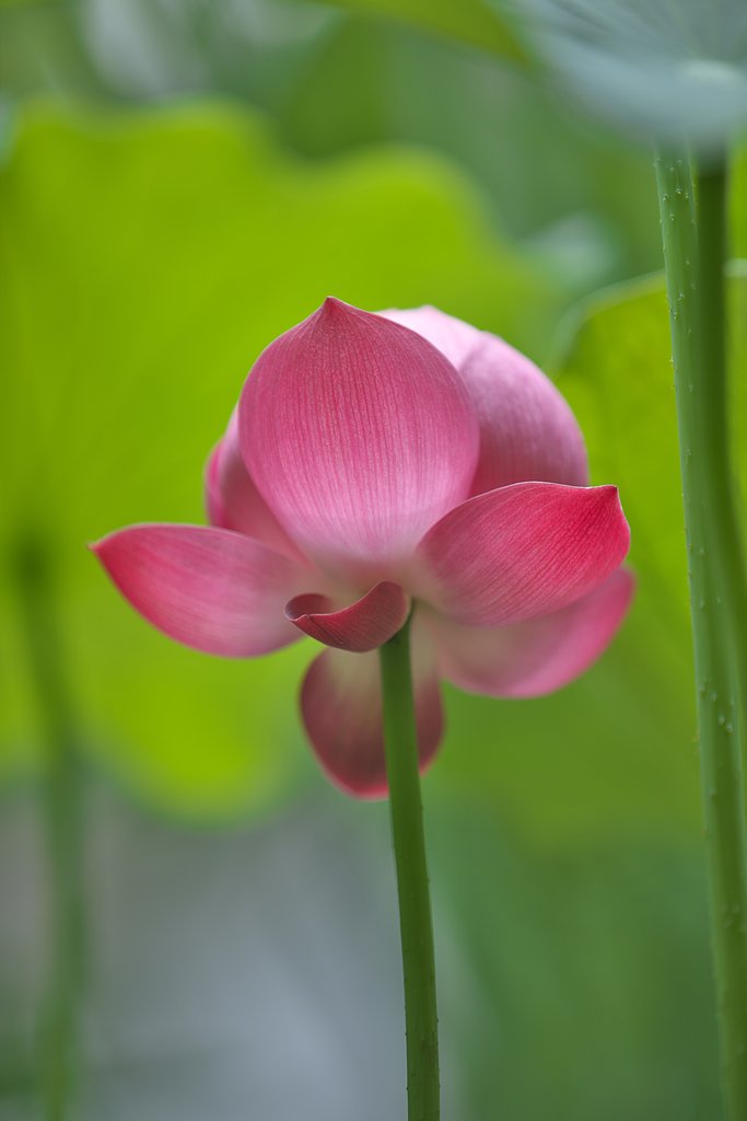 EF70-200 F2.8L IS Ⅱ