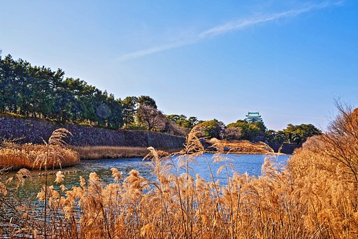 名古屋城