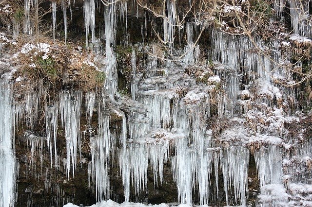 氷柱
