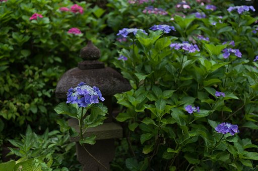 SIGMA 30mm F1.4 DC HSM