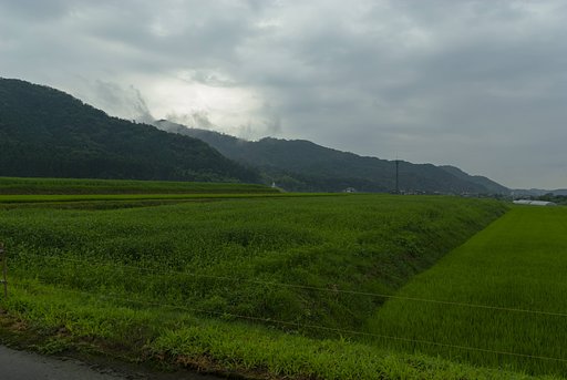 雨上がり！