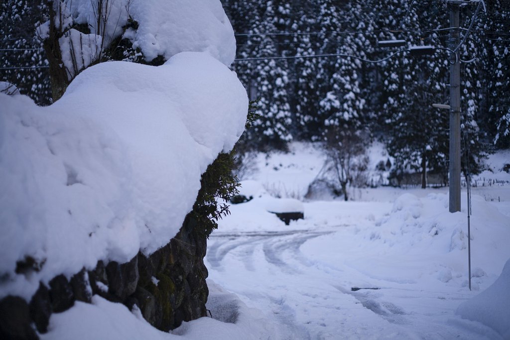 突然の雪。