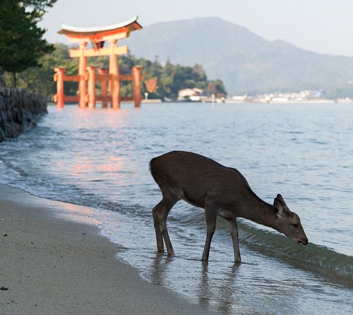鹿の島