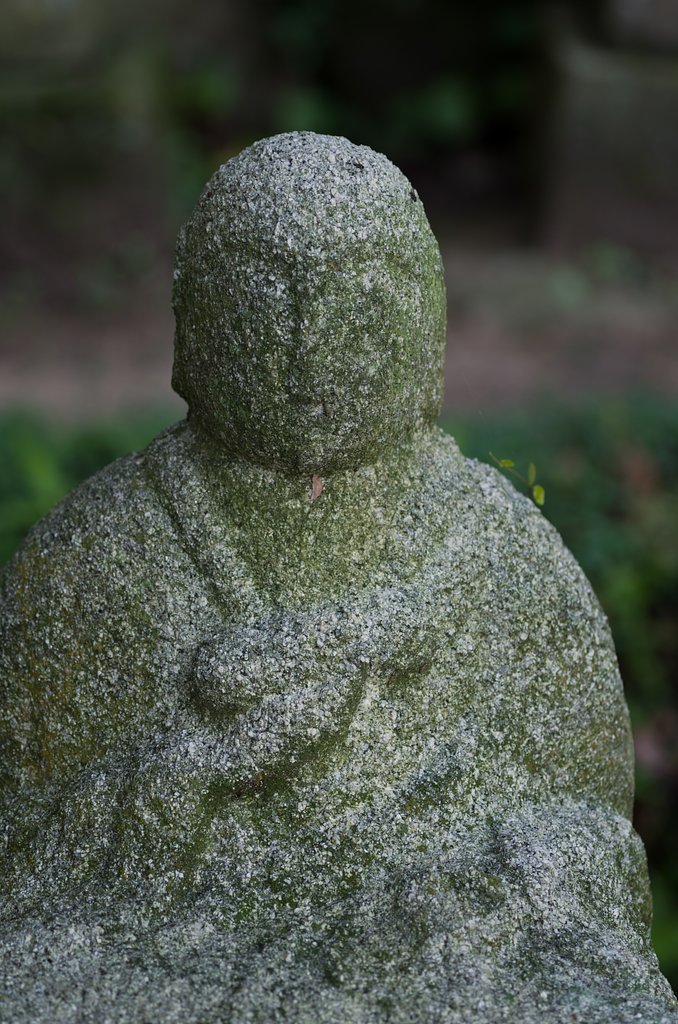 SIGMA MACRO 70mm F2.8