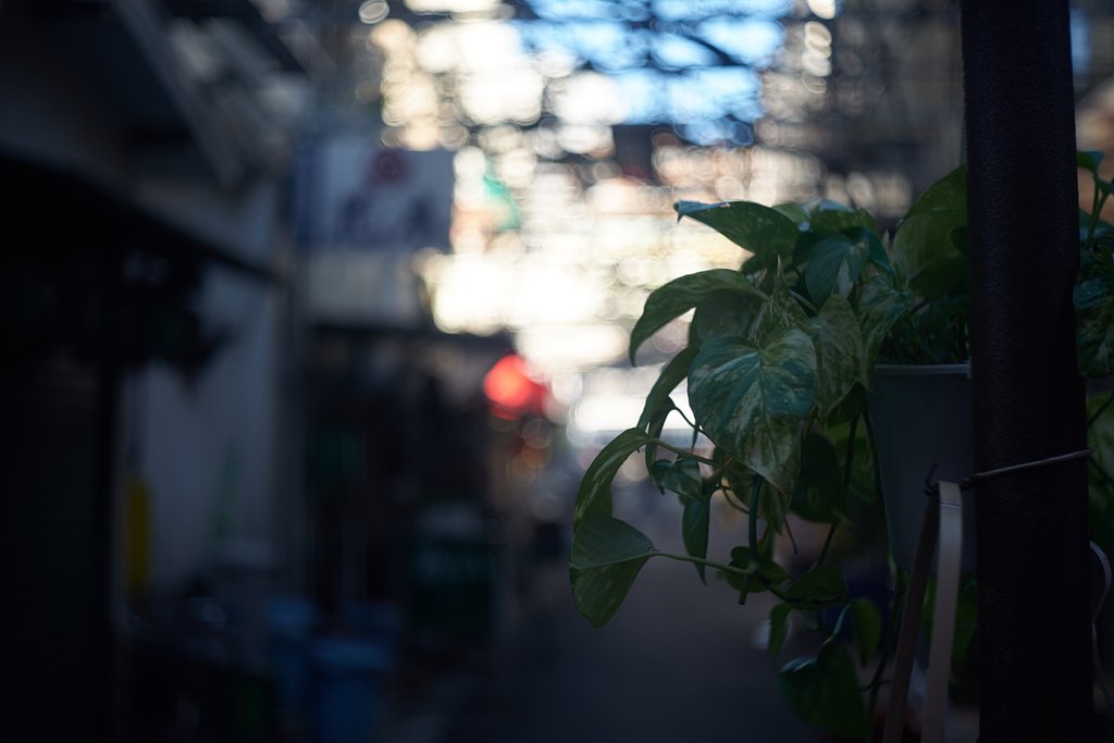 TAYLOR-HOBSON COOKE CINEMA LENS 47mm f/2.5