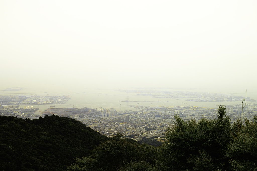 六甲山（六月）