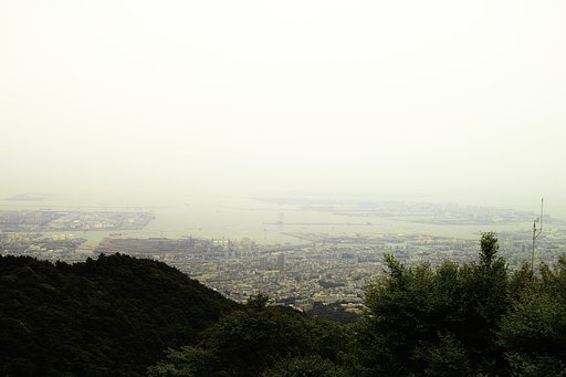 六甲山（六月）