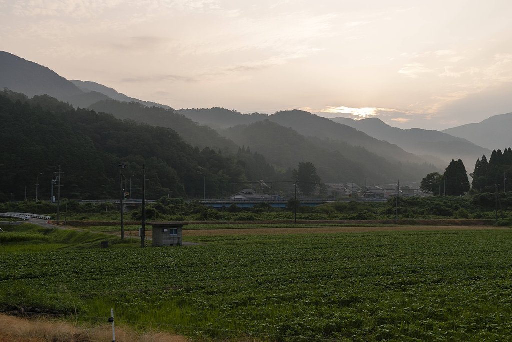 晴れた朝？