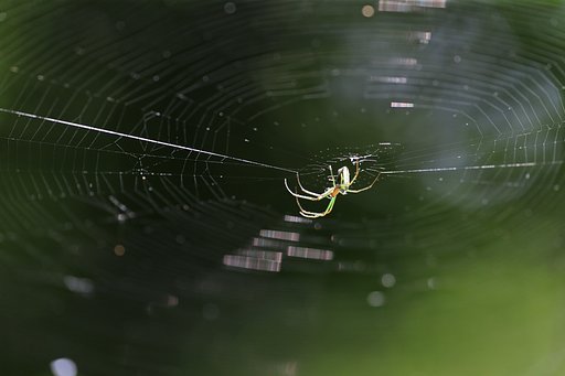 小宇宙（その２）