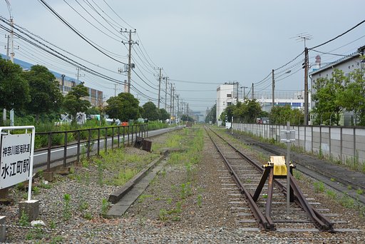 7月13日の写真