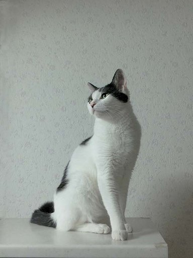 振り返る