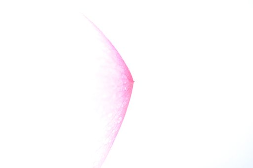 白日夢