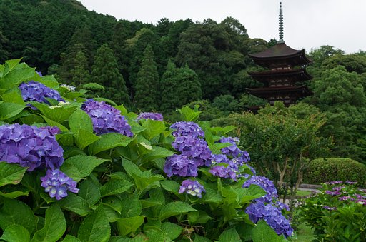 瑠璃光寺