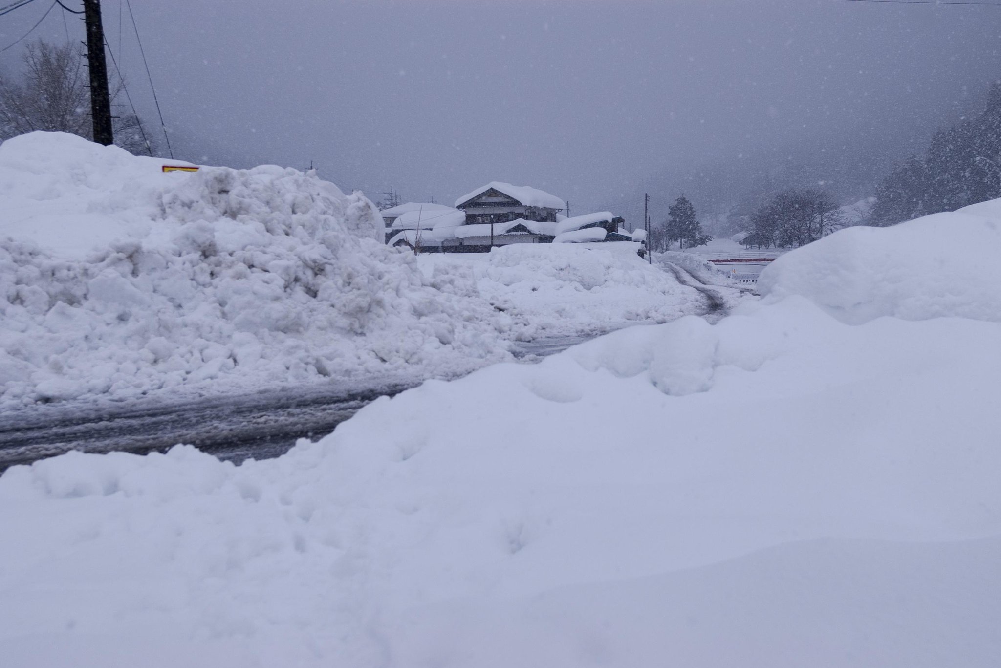 朝から雪が！