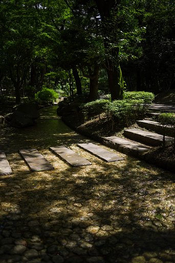夏の日差し２