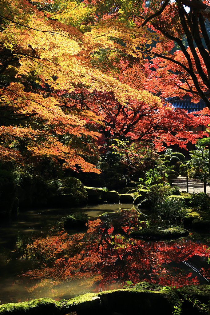金剛輪寺　庭