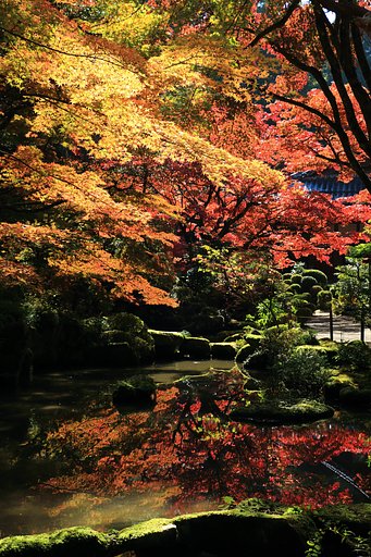 金剛輪寺　庭