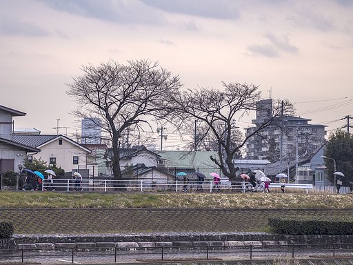 通学路