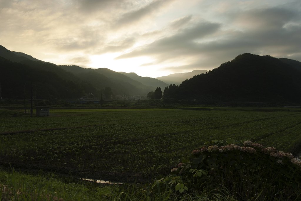 晴れた朝。