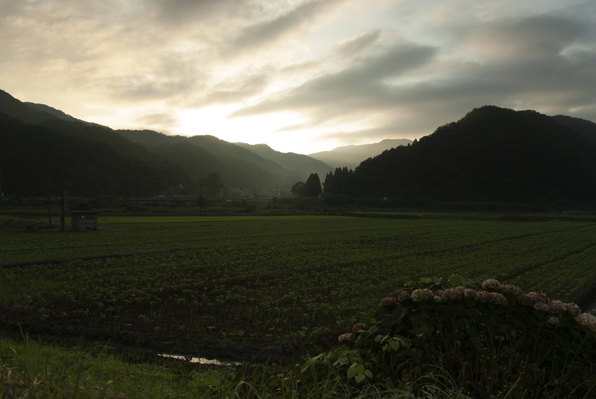 晴れた朝。