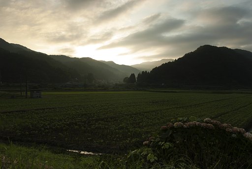 晴れた朝。