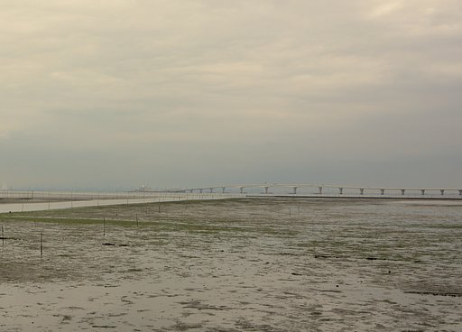 干潟と東京湾アクアライン