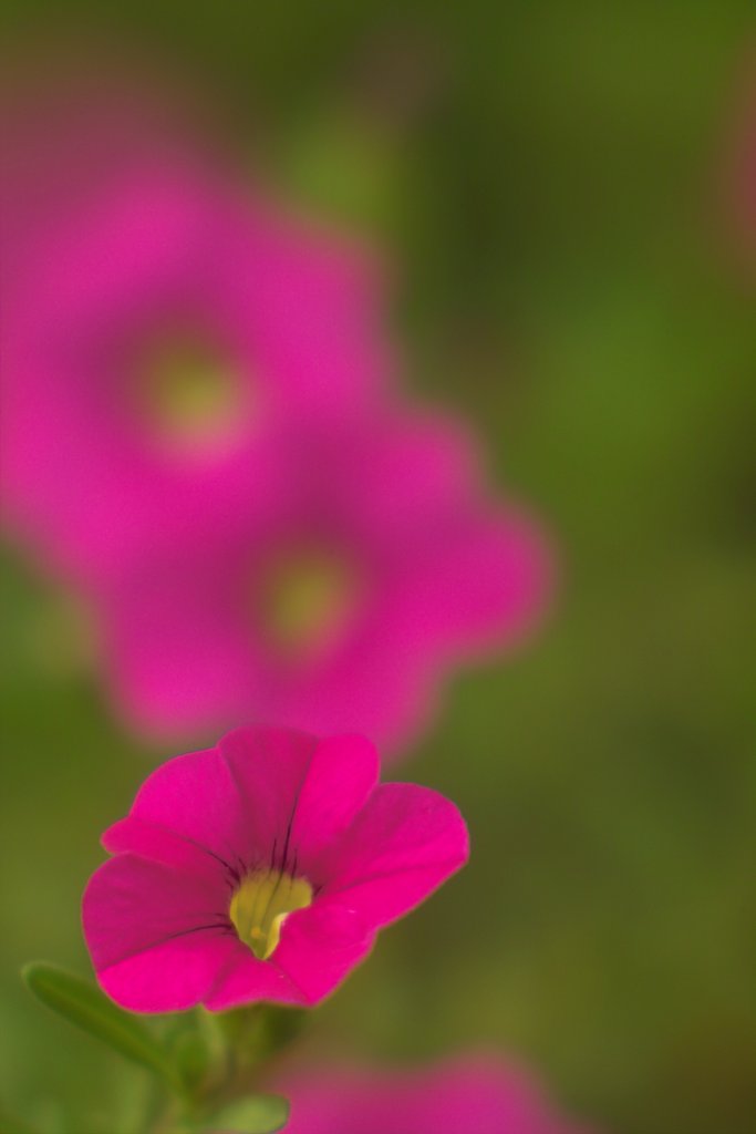 アストロベルリン　テレスタン300mmF3.5