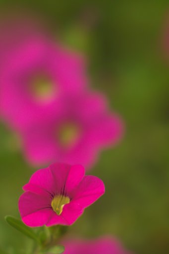 アストロベルリン　テレスタン300mmF3.5
